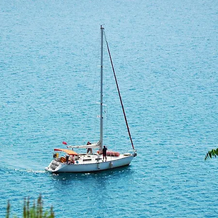 Delightful Kefalonia - 2 Bedrooms - Olive Grove - Private Pool And Phenomenal Sea Views - Agia Efimia Ferendinata